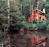 Woodlands Rainforest Retreat - New Castle Holiday