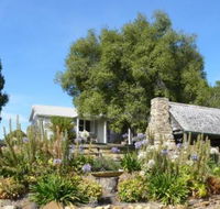 Sassafras Springs - New Castle Holiday