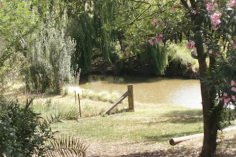 Kellys Motel Oakey - New Castle Holiday 5