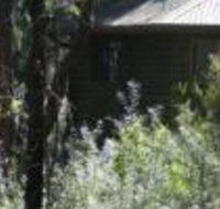 Twin Falls Bush Cottages - New Castle Holiday