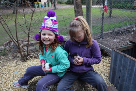 Fernleigh Farmstay & Bike Park - New Castle Holiday 3