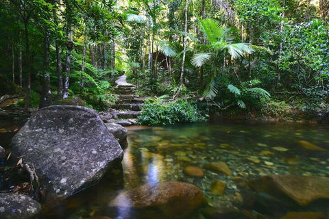 Daintree Cascades - New Castle Holiday 2