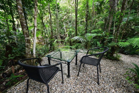 Daintree Cascades - New Castle Holiday 4