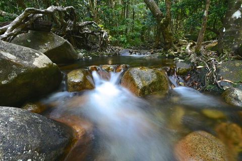 Daintree Cascades - New Castle Holiday 1