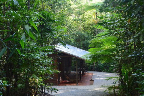 Daintree Cascades - New Castle Holiday 3