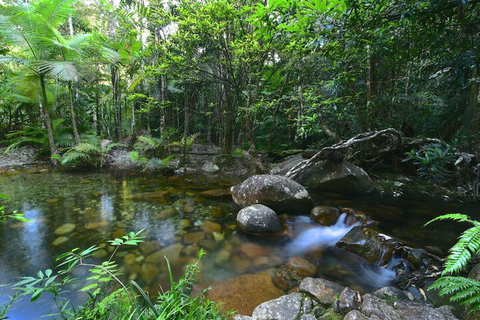 Daintree Cascades - New Castle Holiday 5