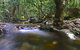 Daintree Cascades - thumb 6