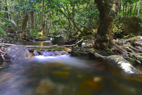 Daintree Cascades - New Castle Holiday 6
