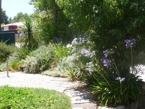 Country Bakehouse Accommodation - New Castle Holiday 1