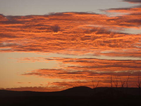 Country Bakehouse Accommodation - New Castle Holiday 0