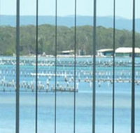 Montgomery Apartments - New Castle Holiday