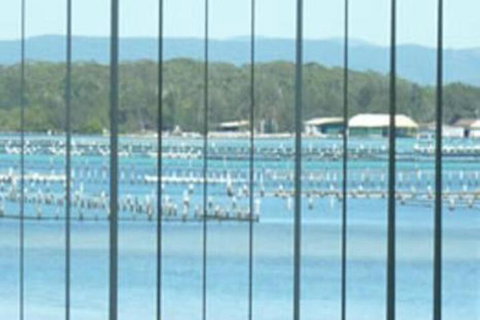 Montgomery Apartments - New Castle Holiday 0