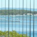 Montgomery Apartments - New Castle Holiday 1