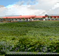 Turners Vineyard Motel and Function Centre - New Castle Holiday