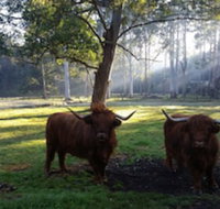 Dingley Dell - New Castle Holiday