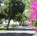 BIG 4 Hay - New Castle Holiday