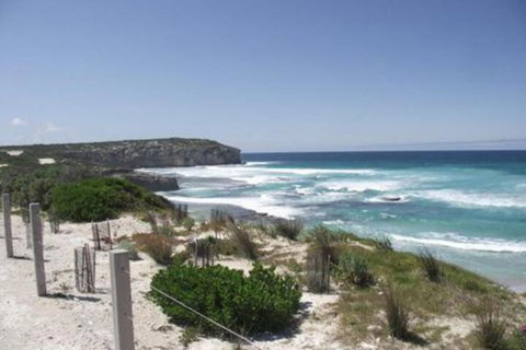 Cooinda Holiday Village - New Castle Holiday 4