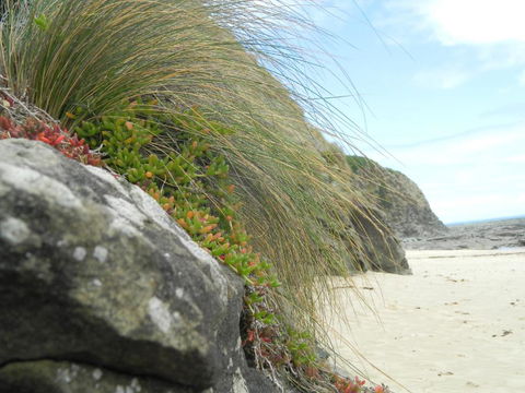 Cape 28 - New Castle Holiday 5