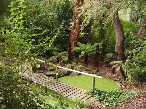 Hilltop - New Castle Holiday 6