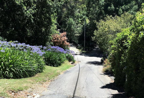 Hilltop - New Castle Holiday 2