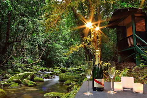 Misty Mountains Rainforest Retreat - New Castle Holiday 3