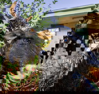 Big4 Shepparton Park Lane - New Castle Holiday