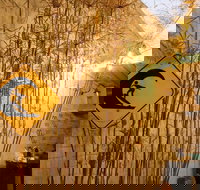 Britannia on William - Hostel - New Castle Holiday