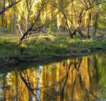 On The Banks - New Castle Holiday