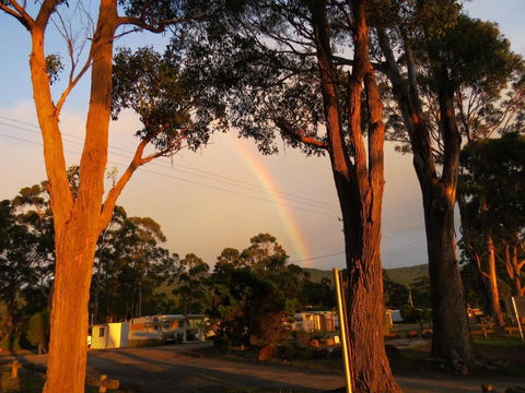 Captain Cook Holiday Park - New Castle Holiday 5