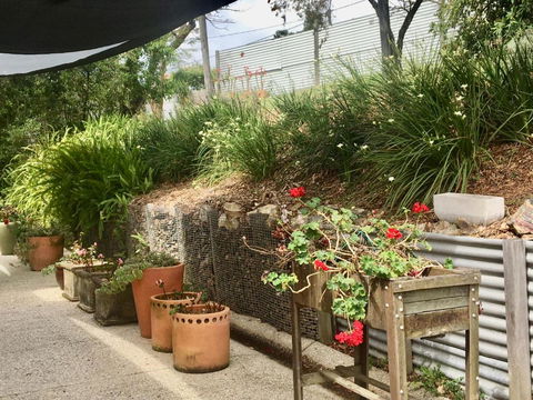 Eumundi Guesthouse & B & B - New Castle Holiday 4