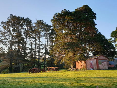 Sutton Forest Cottage - New Castle Holiday 5