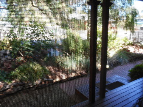 Rosebank Bed & Breakfast - New Castle Holiday 6