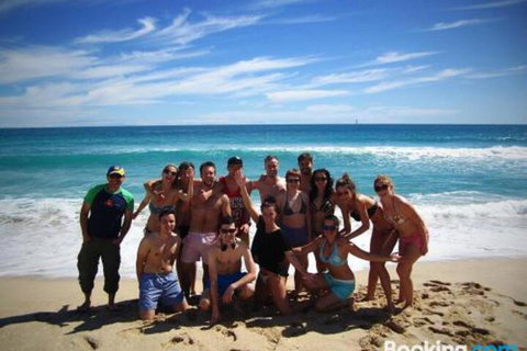 The Witchs Hat - New Castle Holiday 2