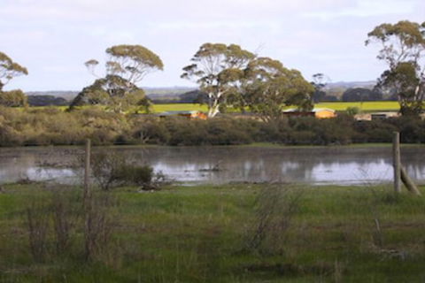 Seal Bay Cottages - New Castle Holiday 5
