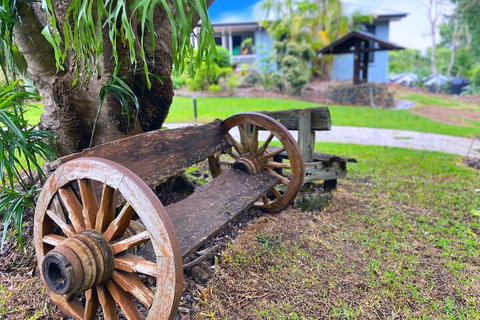 Clouds Mapleton - New Castle Holiday 1