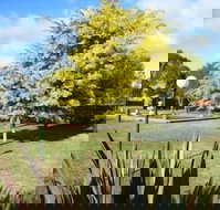 Bairnsdale Main Motel - New Castle Holiday