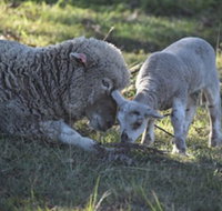 Clandulla Cottages - New Castle Holiday