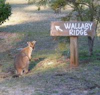 Wallaby Ridge Retreat - New Castle Holiday