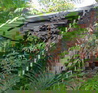 Mt Warning Rainforest Retreat - New Castle Holiday