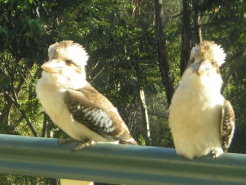Nirvana At Montville - New Castle Holiday 5