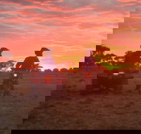 Corynnia Station - New Castle Holiday