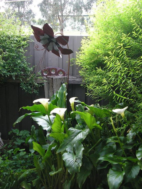 C & As Cottage - New Castle Holiday 2