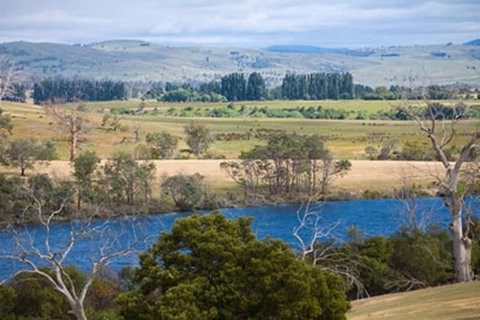 Curringa Farm - New Castle Holiday 3