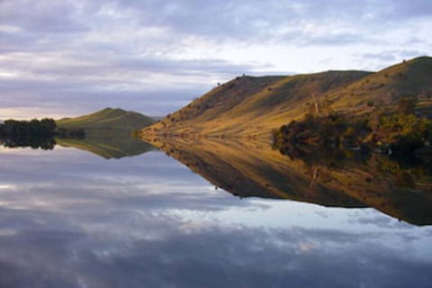 Curringa Farm - New Castle Holiday 0