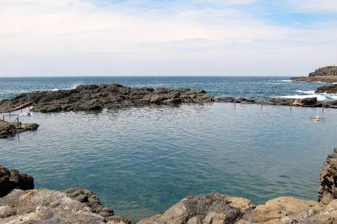 Kiama Harbour Cabins - New Castle Holiday 4