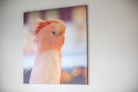 Nightcap At Chester Hill Hotel - New Castle Holiday 2