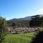 Stavely ACT New Castle Holiday