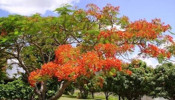 Eastwood Farm - New Castle Holiday 0