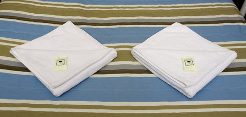 The George Sydney - New Castle Holiday 5