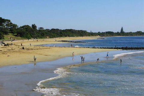 Roseneath Villa B & B - New Castle Holiday 5